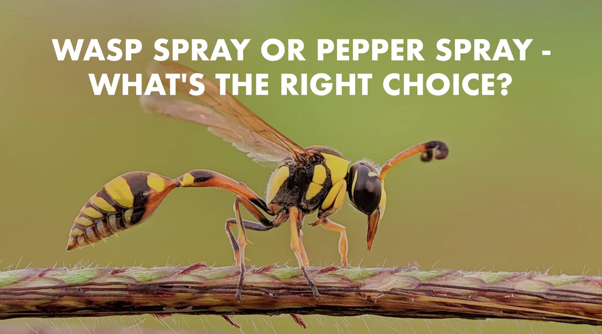 Wasp_Spray_or_Pepper_Spray_1800_x_1000_Blog_A_1200x.jpg